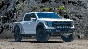 Best Raptor Power Package III