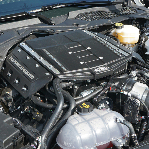 2018-2021 Mustang 5.0 Supercharger - Image 5