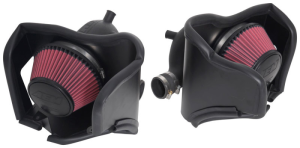 AEM Cold Air Intake 21-849DS